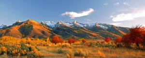 Ruby Mountains in the sunshine