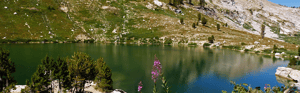 Header-lake-flowers