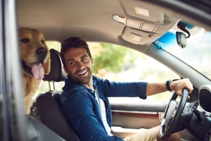 A man driving a car with his dog in the back seat